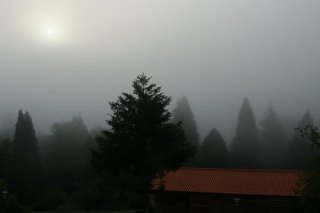 Migla trešās dienas rītā